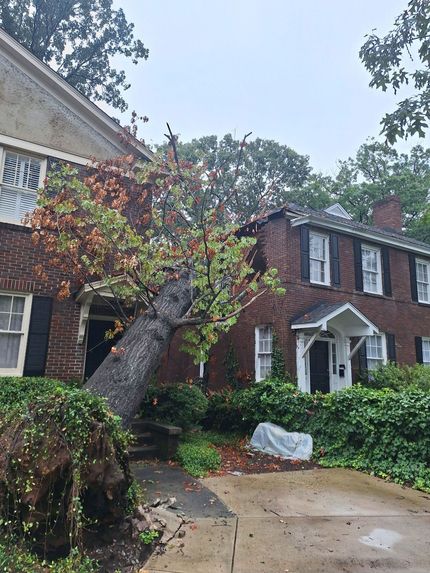 Leaning tree over a brick house with driveway and front garden after storm damage Leaning tree over a brick house with driveway and front garden after storm damage