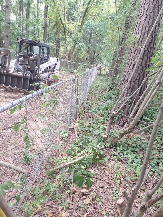 Small excavator beside a chain-link fence in a wooded area, clearing brush near a path Small excavator beside a chain-link fence in a wooded area, clearing brush near a path