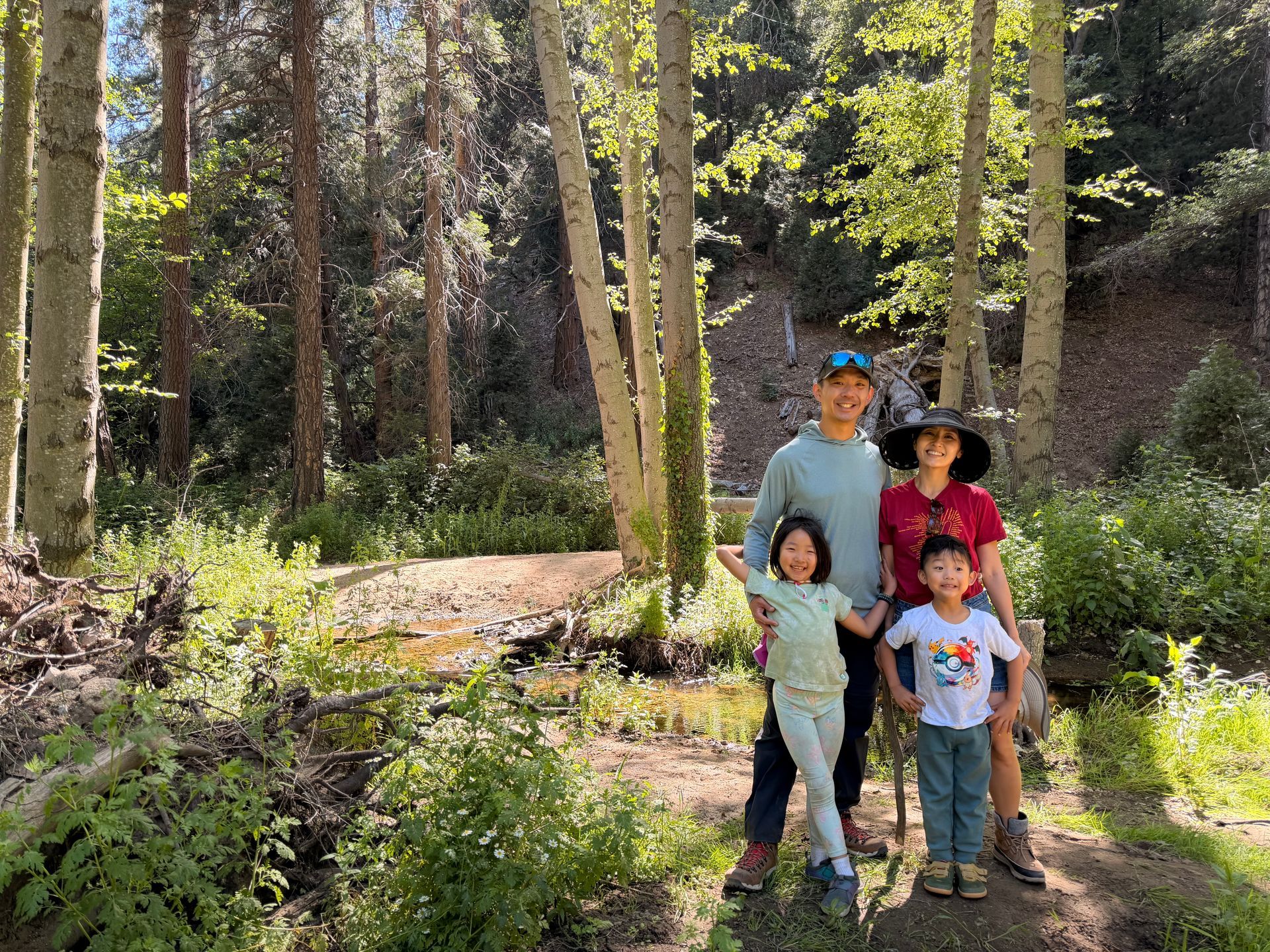 Family of four standing on a sunlit forest trail with trees and greenery around them