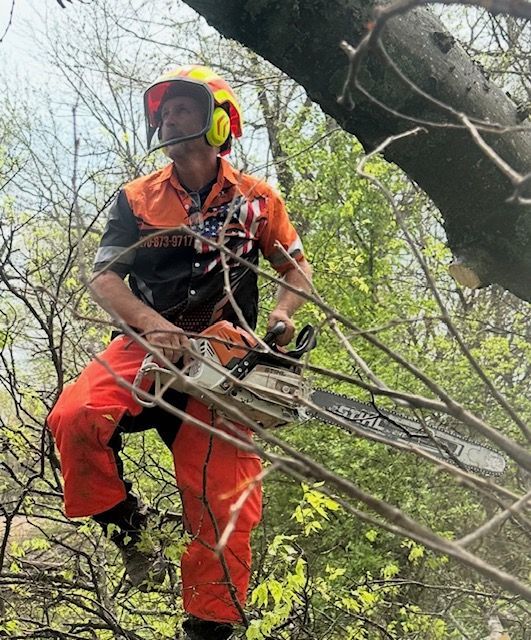 Lamb Brothers Tree Service Equipment