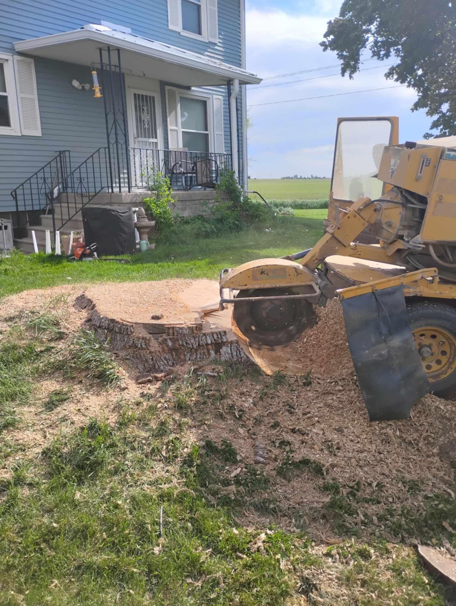 Stump Removal | Cedar Rapids, IA | Breeden Tree Service