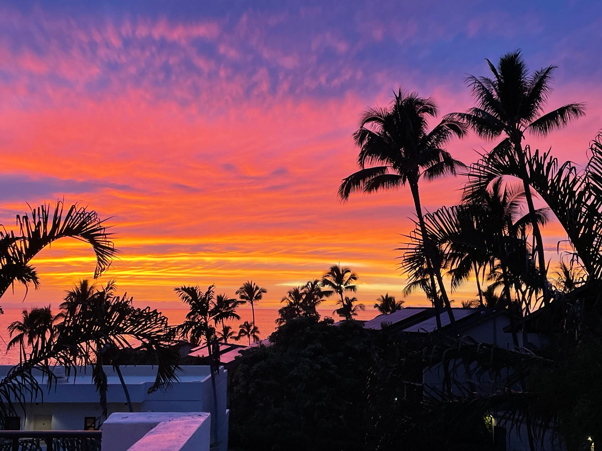 Vibrant sunset in hues of pink, orange, and purple silhouetting palm trees and buildings.