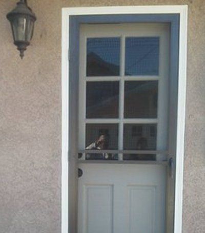 White door with window panes on a stucco wall, with a small dog visible behind the glass.