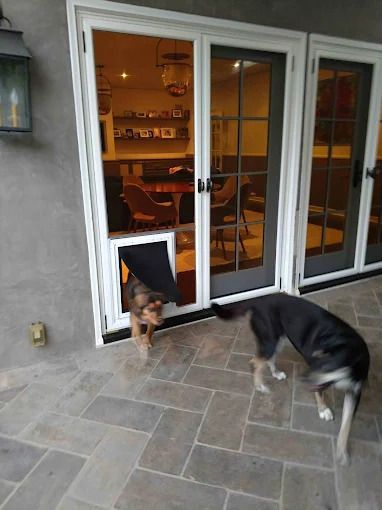 Two dogs at a pet door on a patio, one inside and one outside, with a lit room behind them