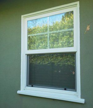 White-framed window on a green exterior wall reflecting trees