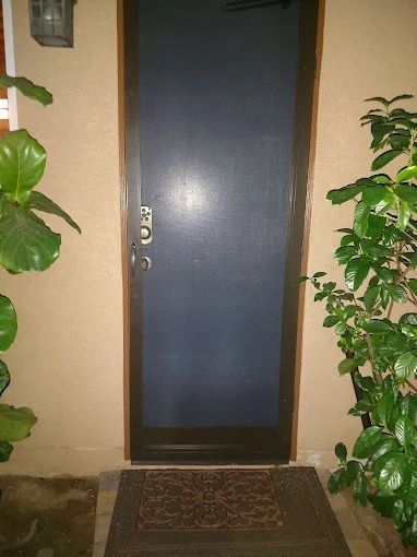 Front door with dark blue panel, framed by plants and a welcome mat at the entrance.