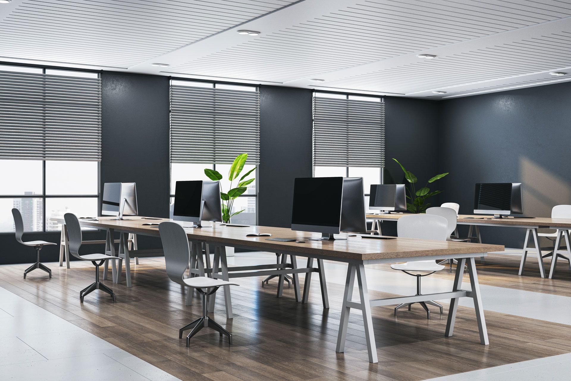 Modern open office with desks, chairs, computers, plants, and bright natural light