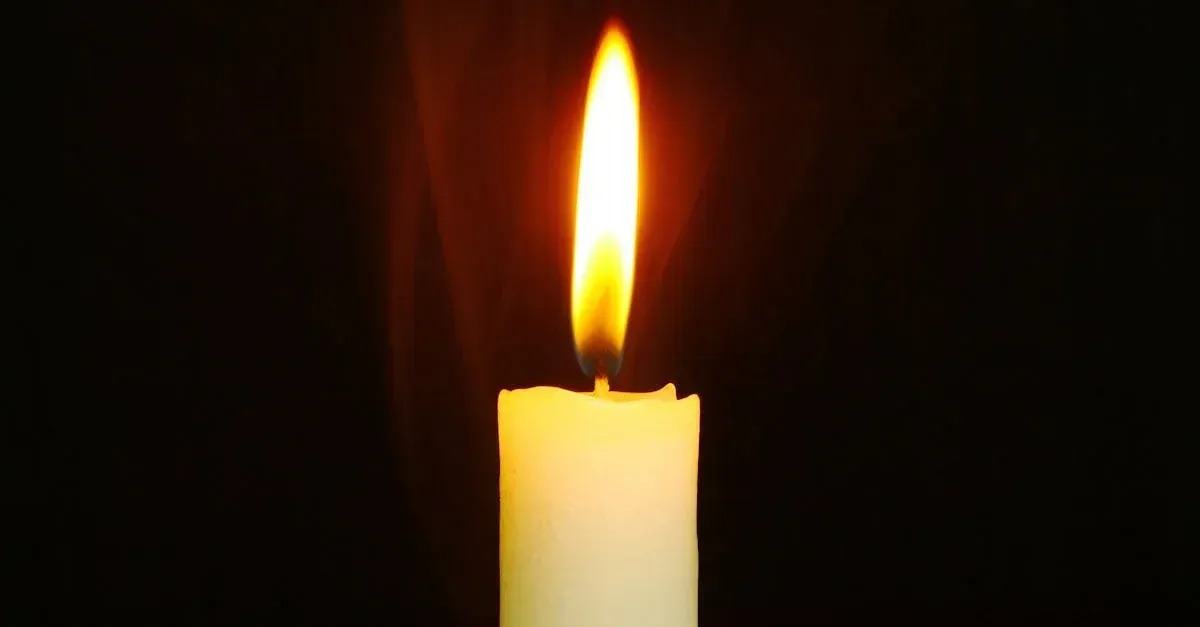 cremation services in Alamo, TX