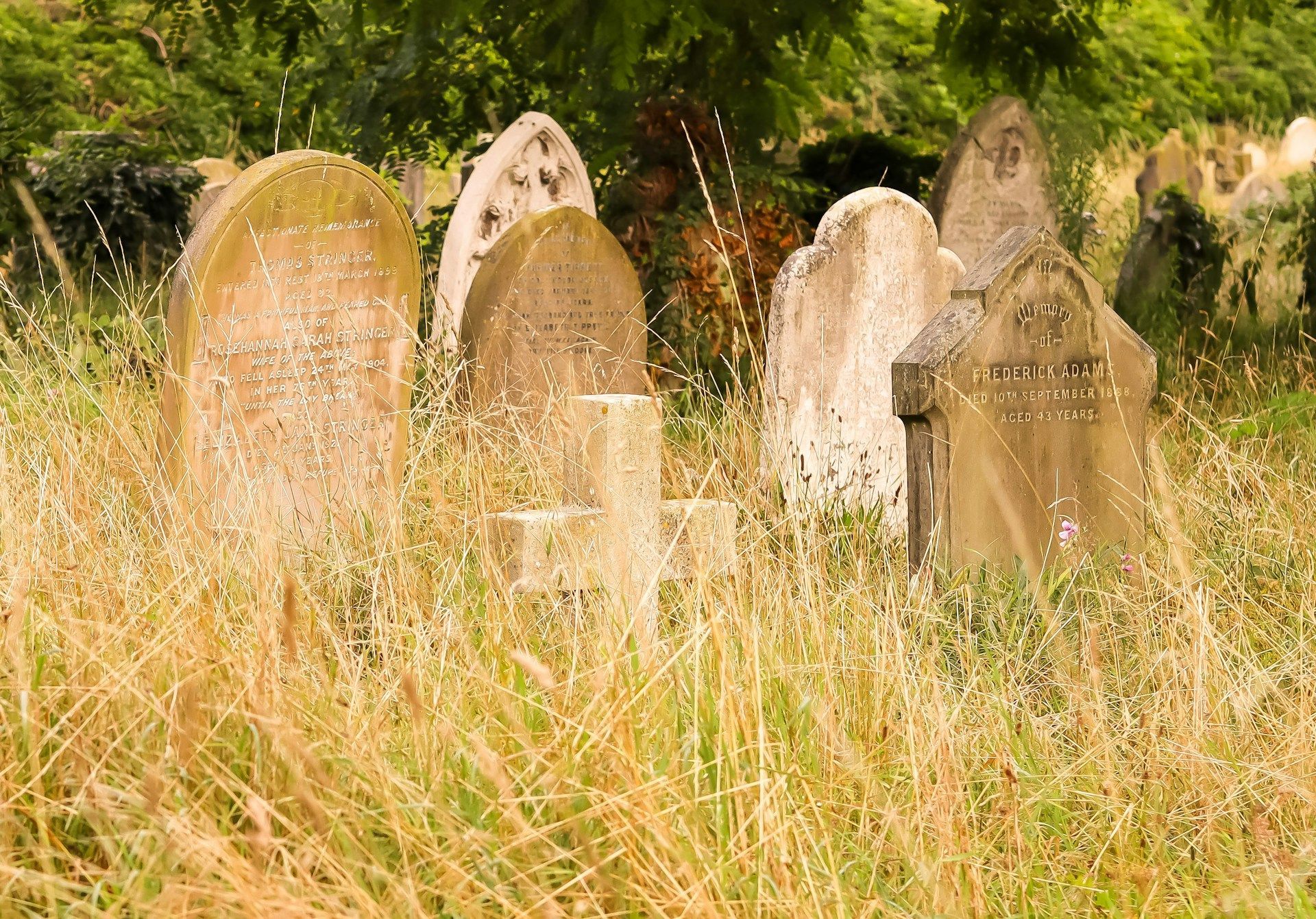 Old weathered gravestones and crosses in an overgrown cemetery with tall dry grass