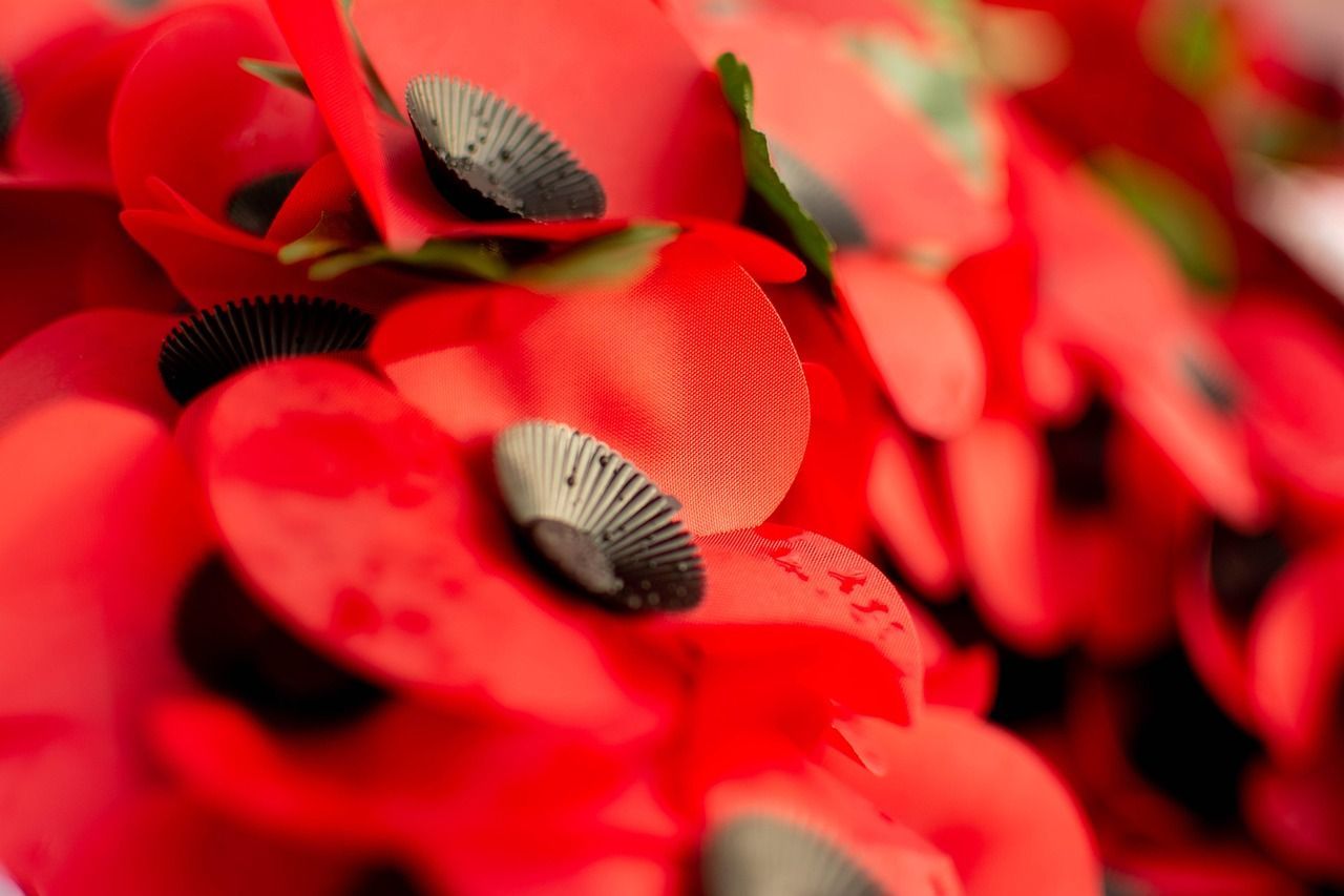 Field of red poppies representing remembrance, honor, and lasting tribute at funeral homes in San Juan, TX.