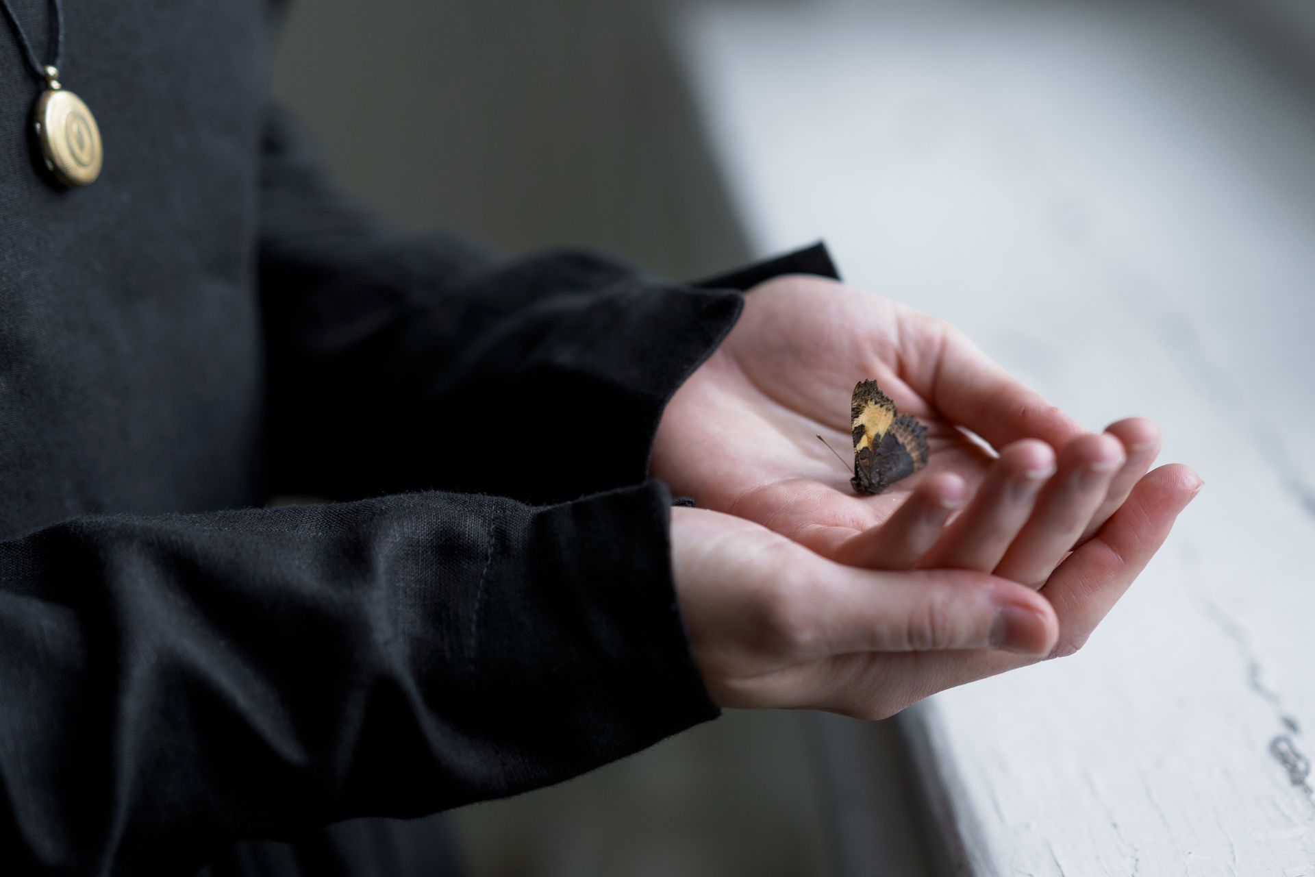 Funeral Home & Cremation Service in San Juan, TX