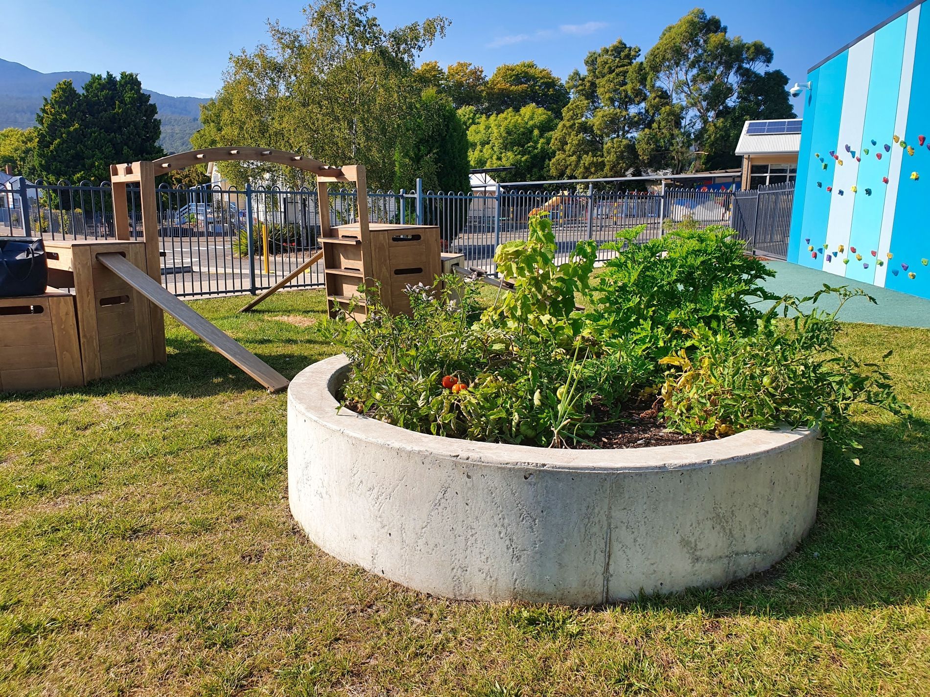 Lilydale Kindergarten Playground — Launceston, TAS — CMK Architects