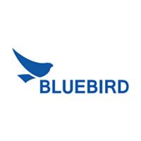 BLUEBIRD