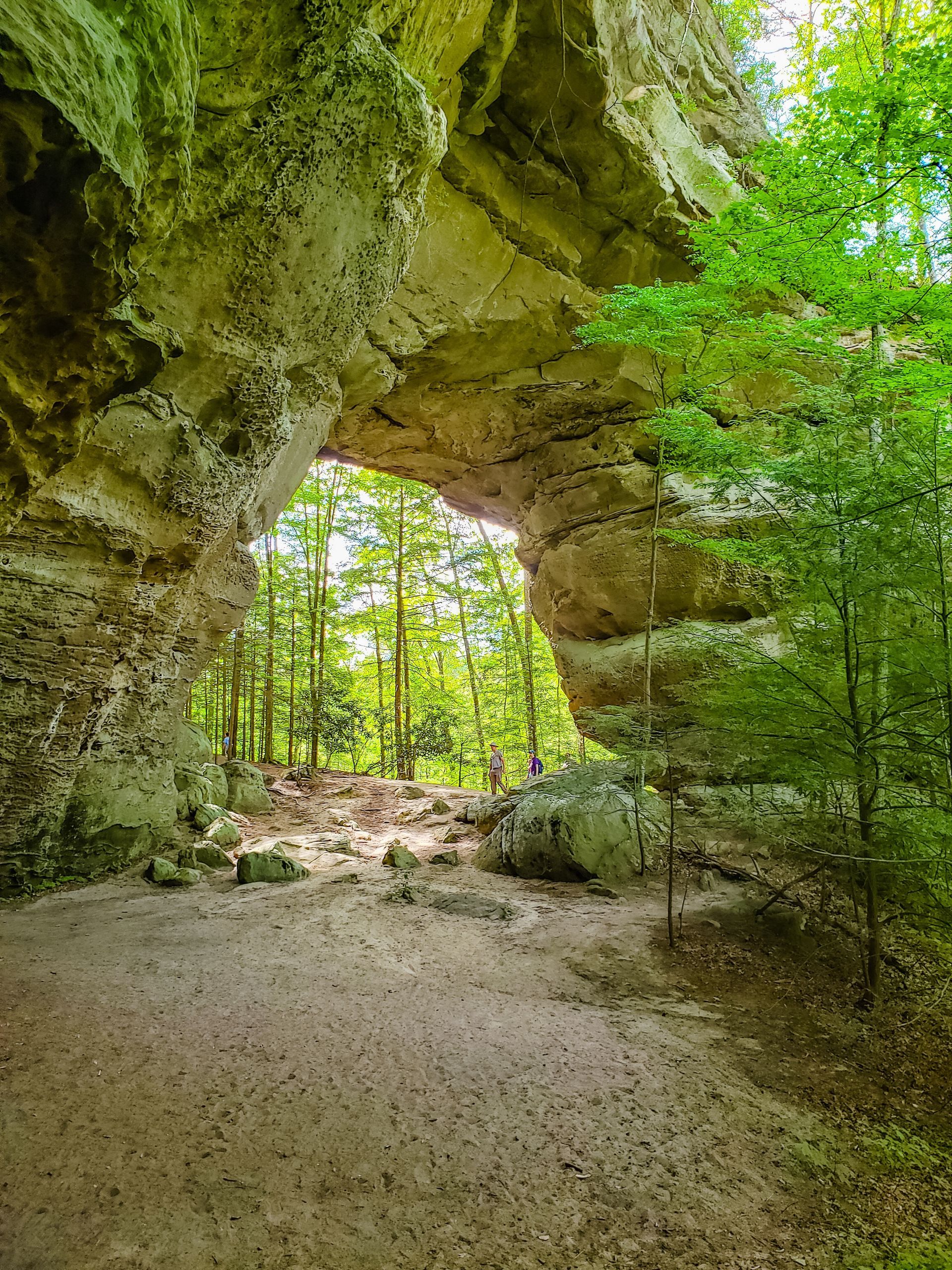 Hiking trail 