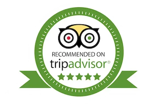 Tripadvisor Recommended badge with green ribbon, owl eyes, and five stars