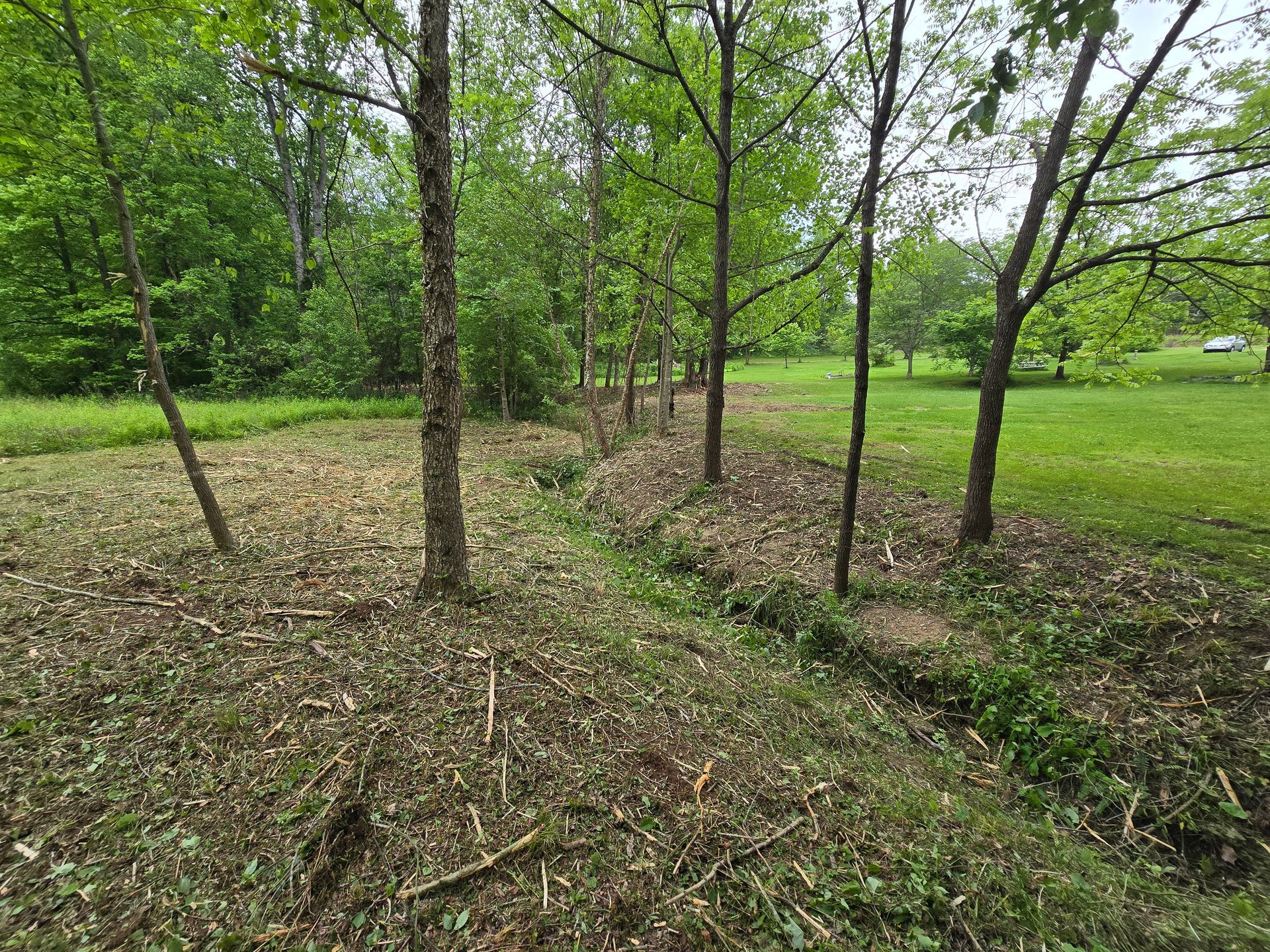 Leaf-covered woodland path beside a grassy field under green trees