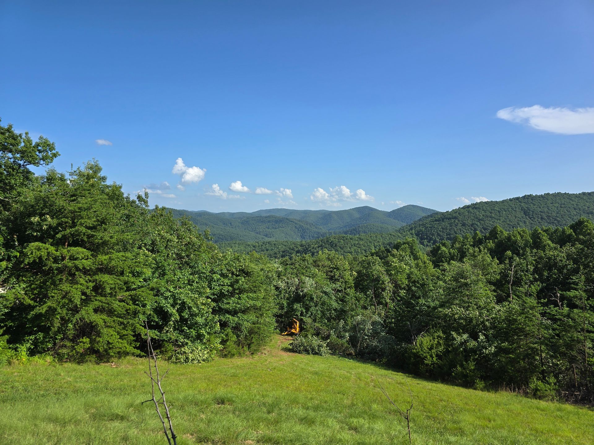 Lush green meadow with trees, distant hills, and a bright blue sky with a few clouds