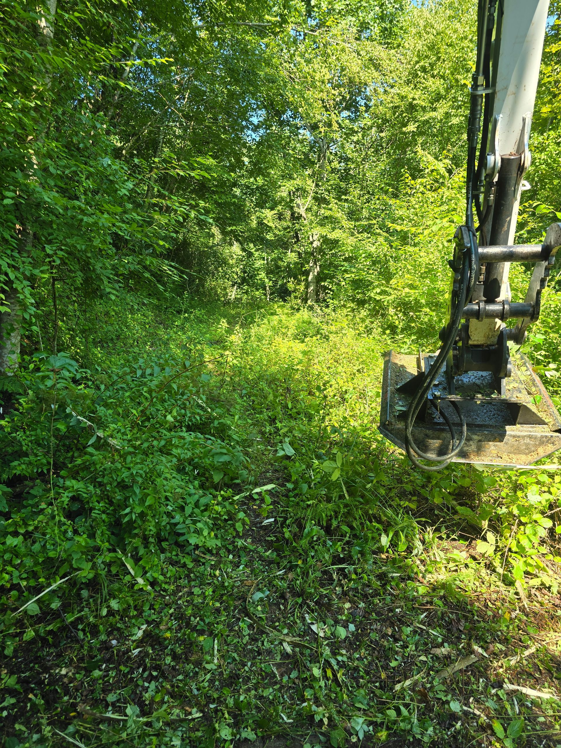 Excavator arm and bucket clearing dense green brush in a wooded area
