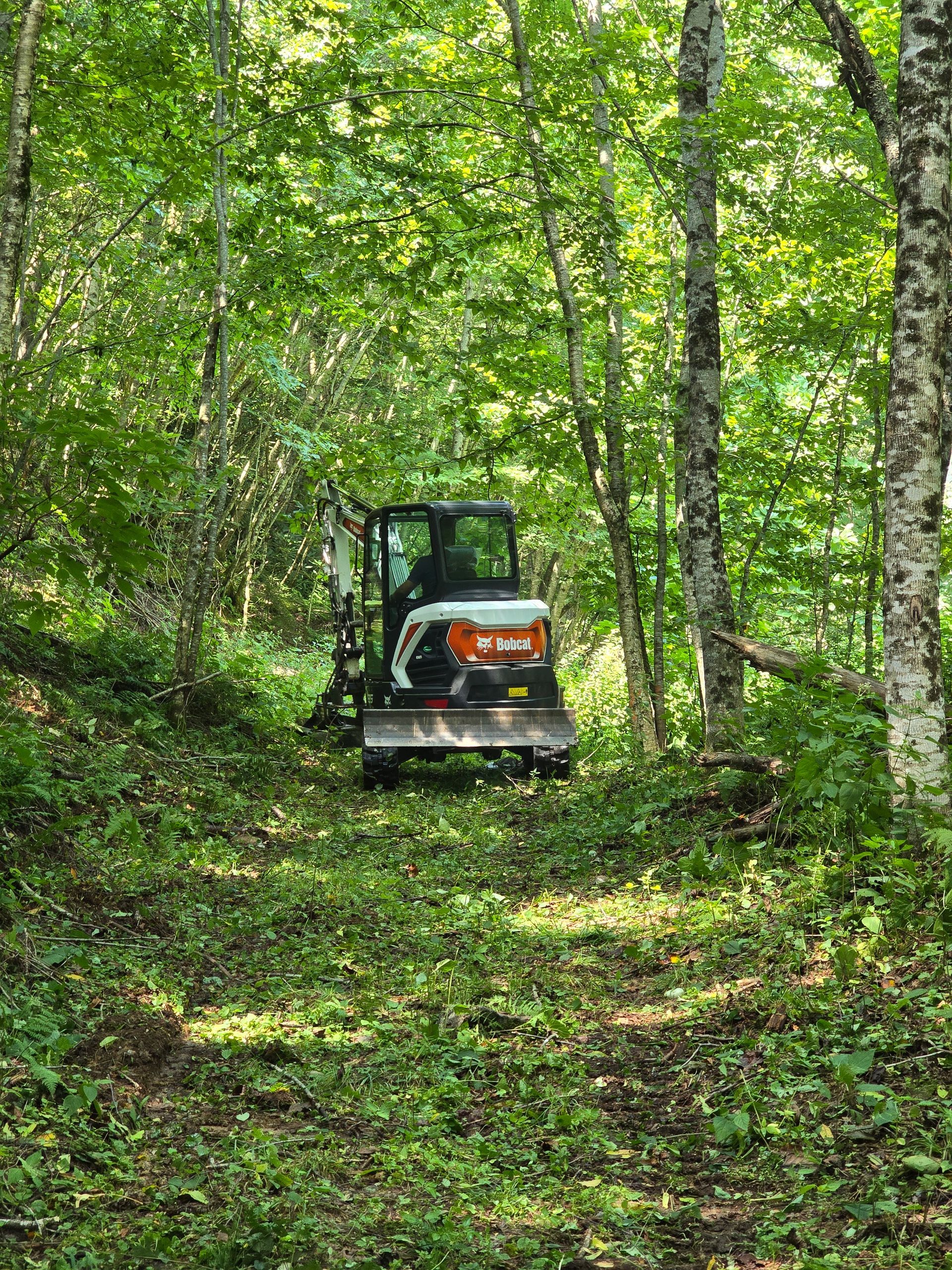 Orange tractor mowing a narrow path through a dense green forest