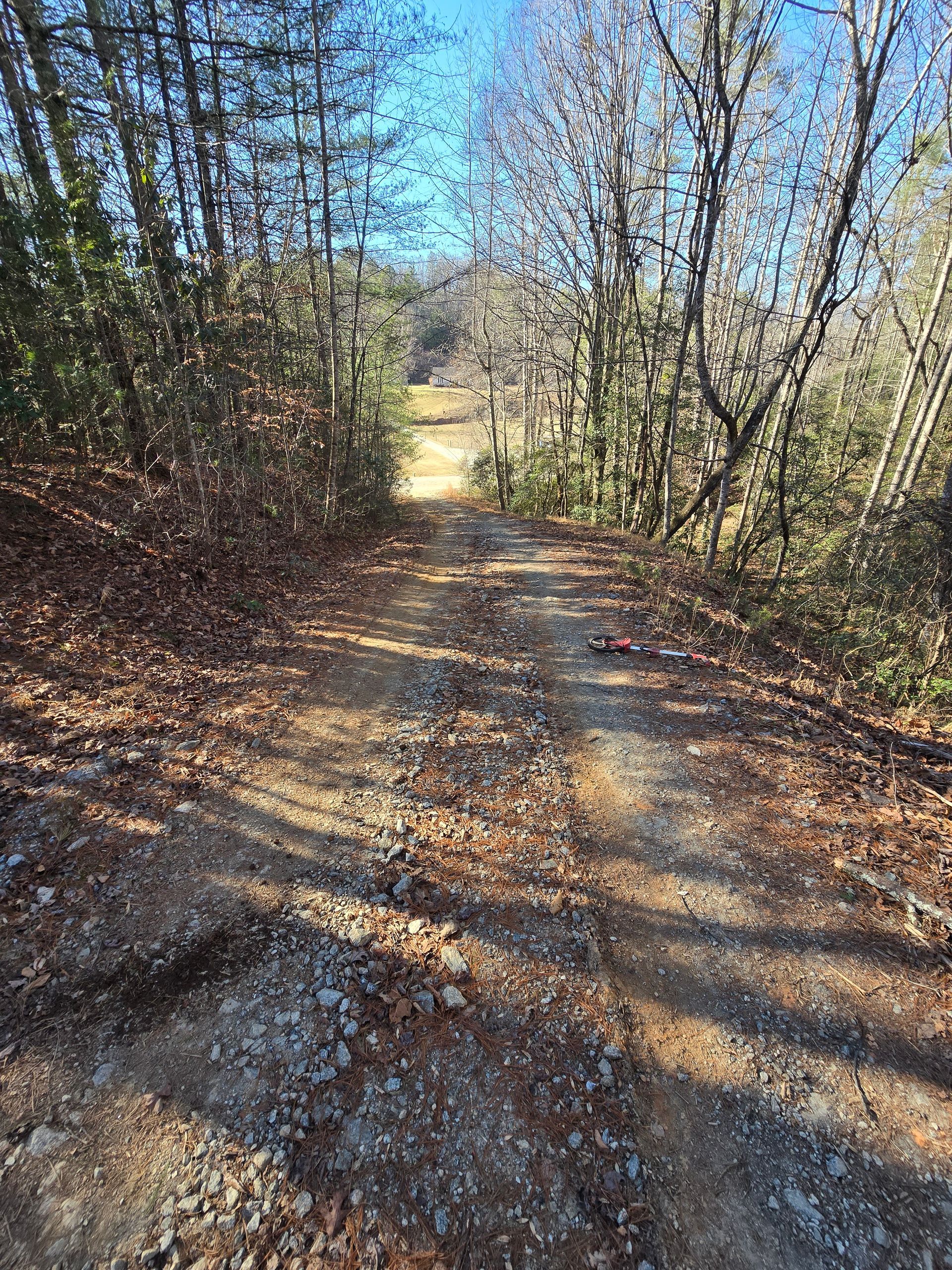 Gravel forest path lined with leafless trees, leading toward a sunlit opening in the distance