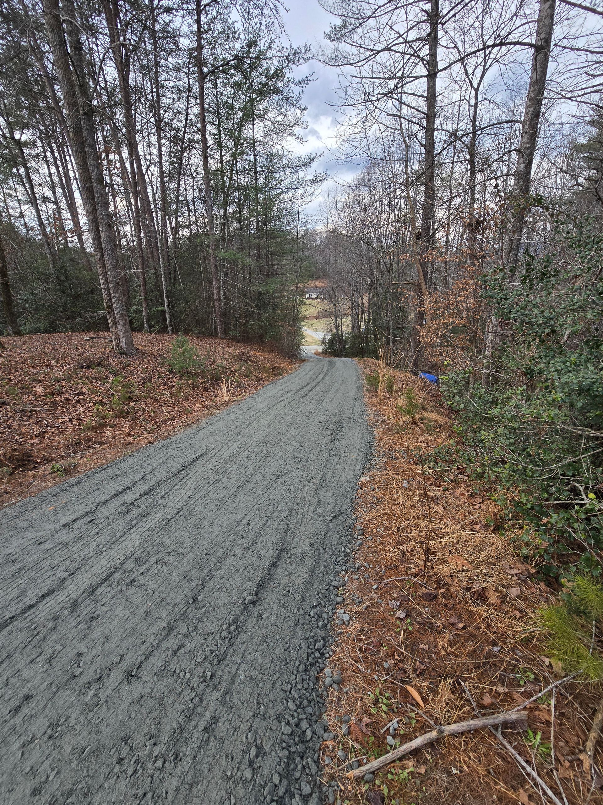 Gravel path winding through leafless trees in a wooded area on an overcast day