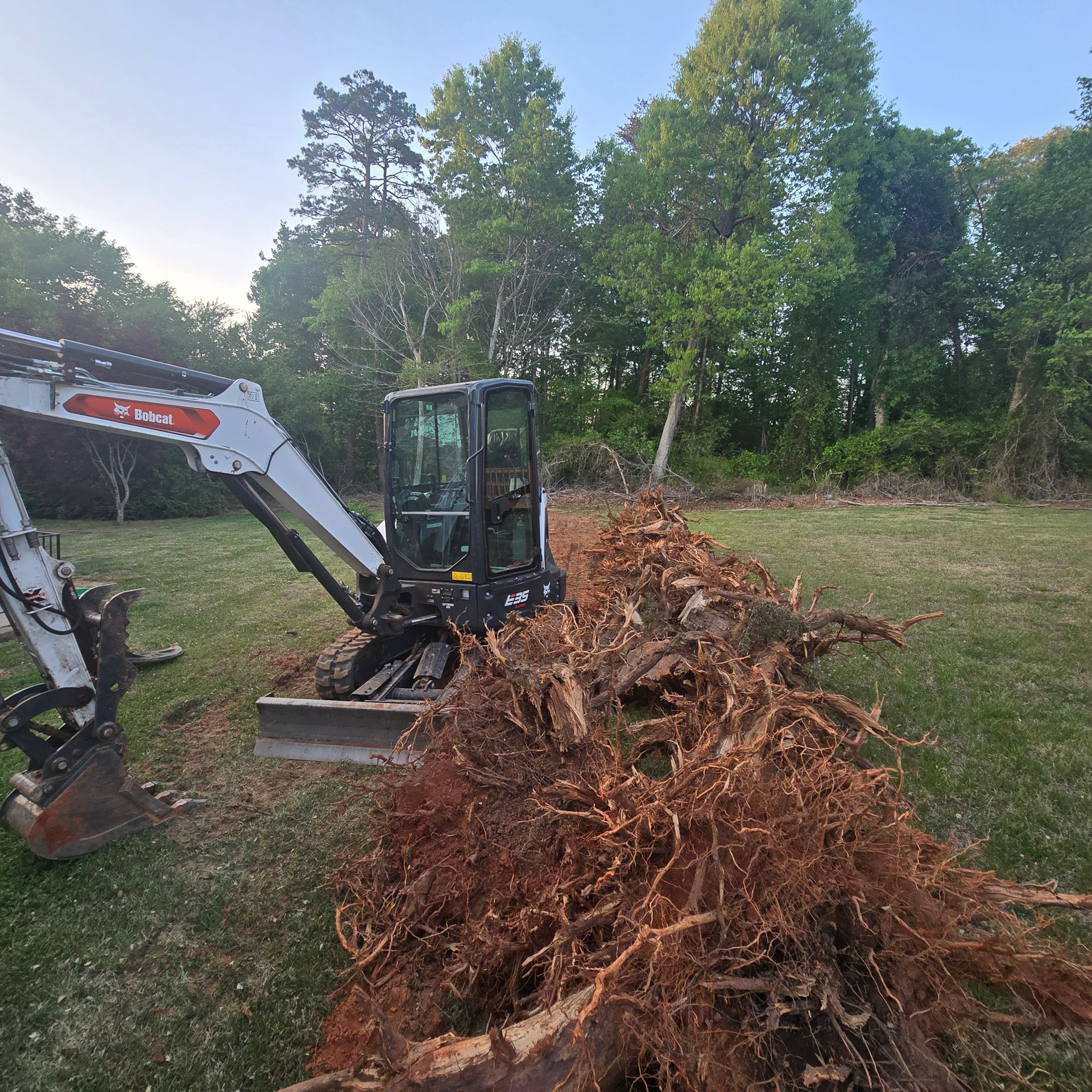 Excavator clearing a large uprooted tree root ball in a grassy field near woods.