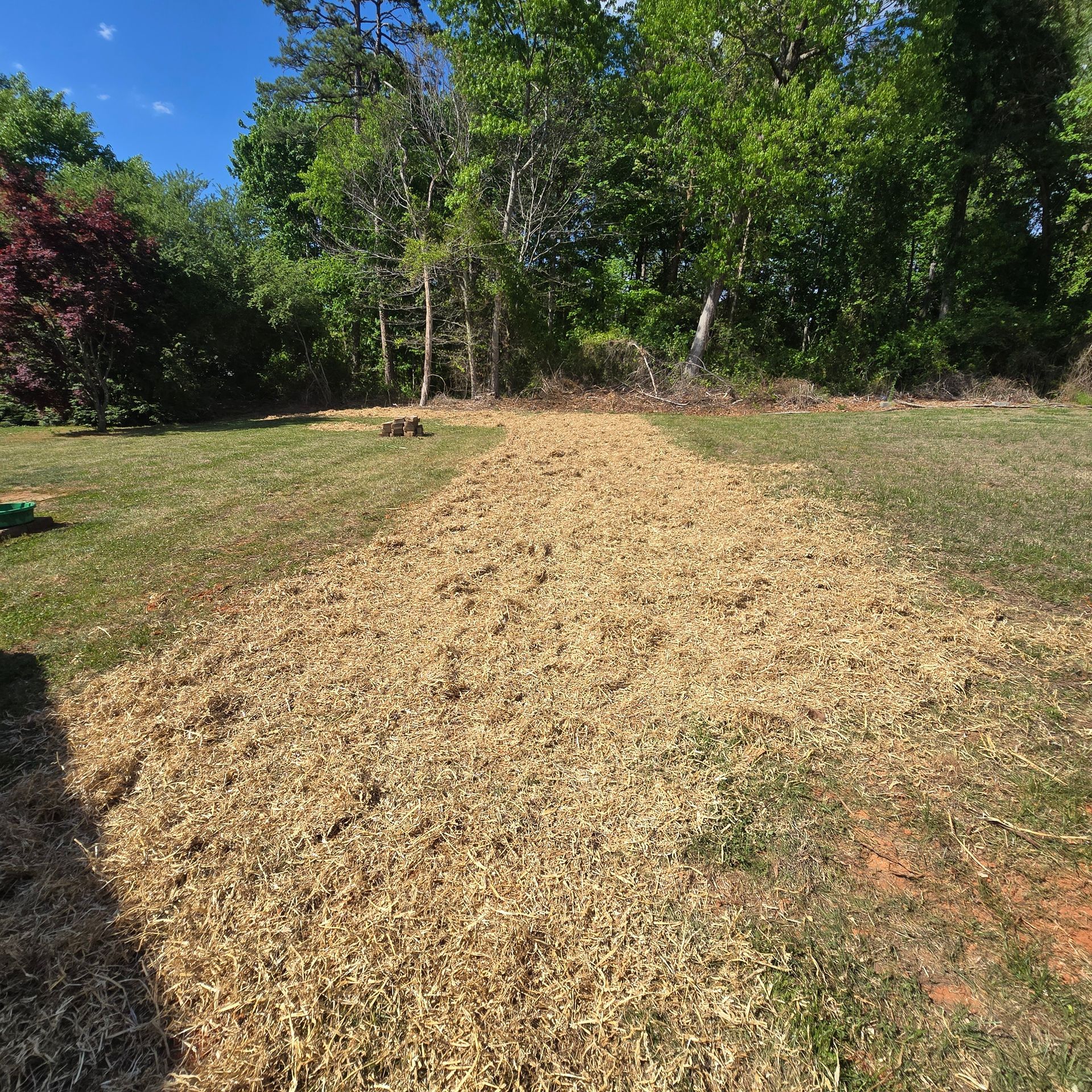 A mulched garden path leading into a green wooded area on a sunny day