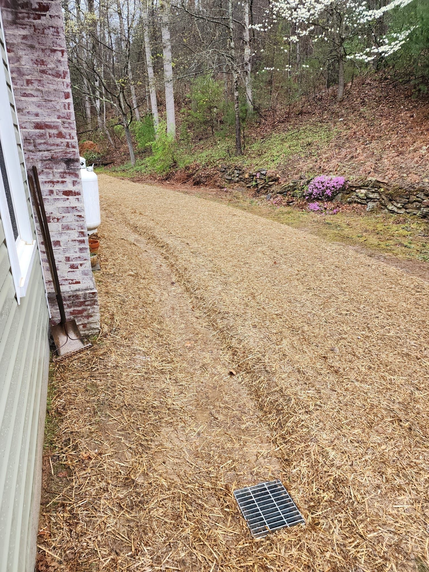 Gravel driveway beside a house, lined with trees and a small drain grate in the foreground.