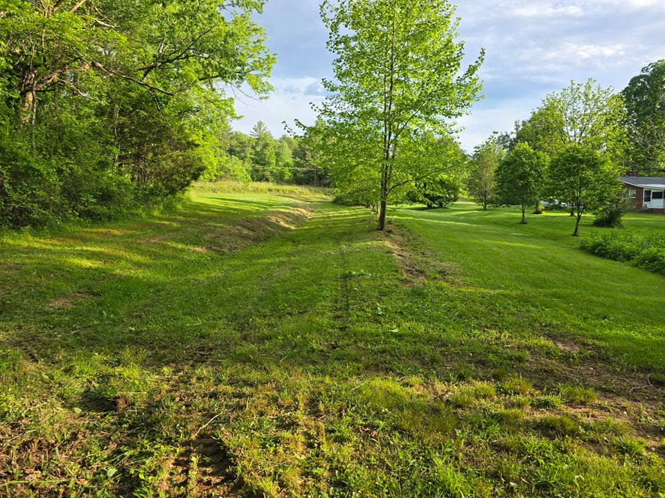 Sunny green park with a small tree, grassy slope, and trees under a partly cloudy sky