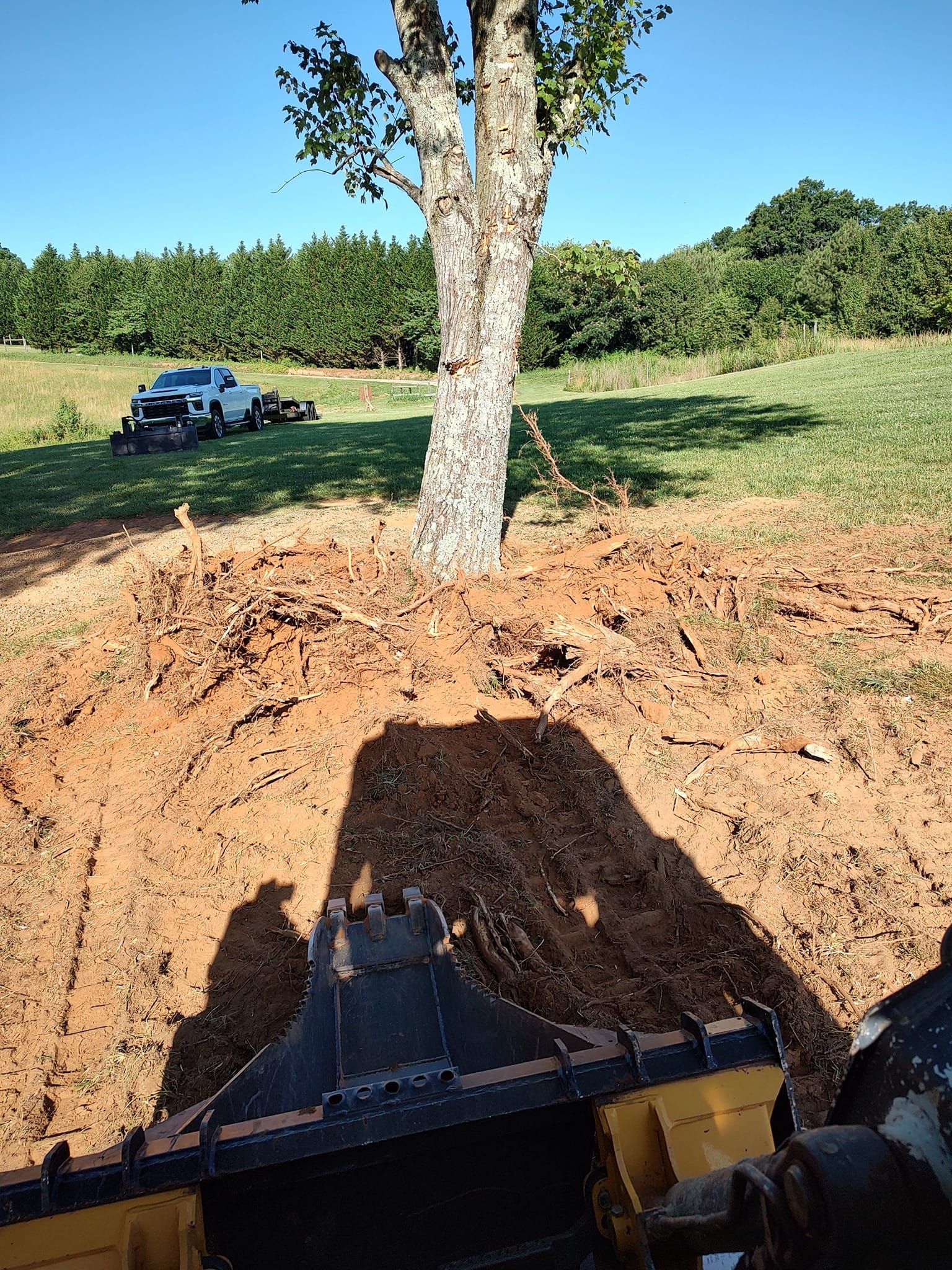 Tree stump in a dirt lot with a blue truck in the background and a tractor shadow in the foreground.