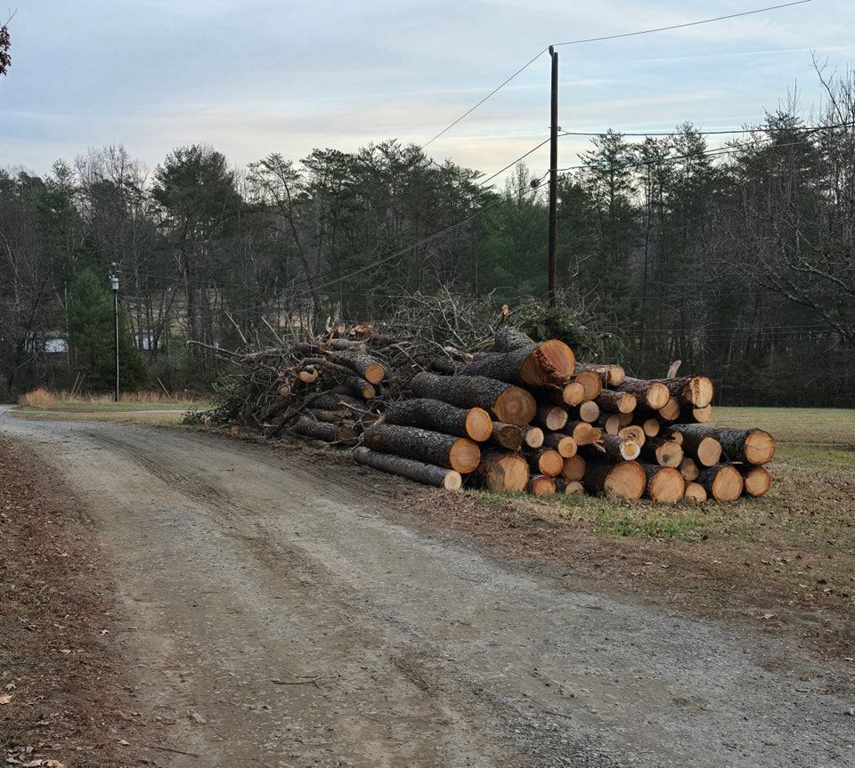 Stacked cut logs beside a gravel road in a wooded rural area
