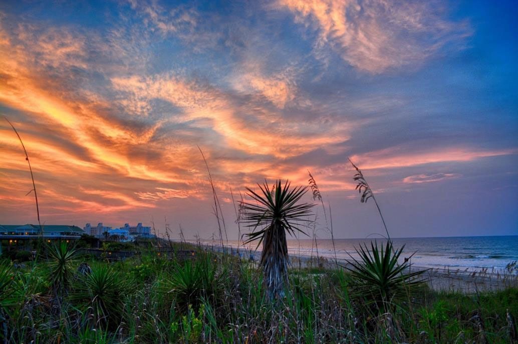 Topsail Island; A World Of Beauty