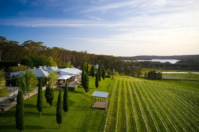 A Vineyard With Rows of Vines, a Small Wooden Pavilion, and a White House — SeaChange Parks Milton in Milton, NSW