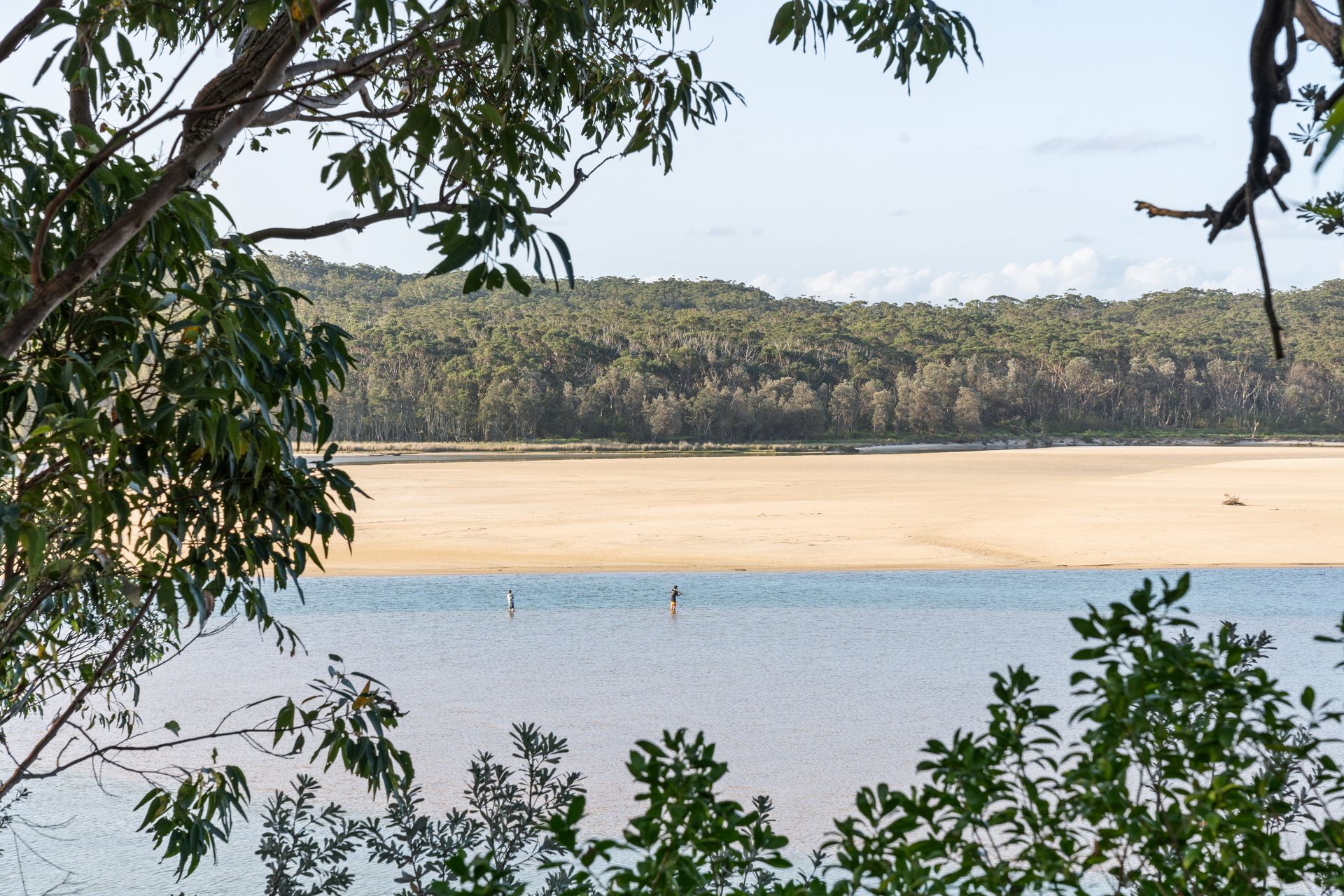 Two People Stand in Shallow Blue Water, Framed by Leafy Branches — SeaChange Parks Milton in Milton, NSW
