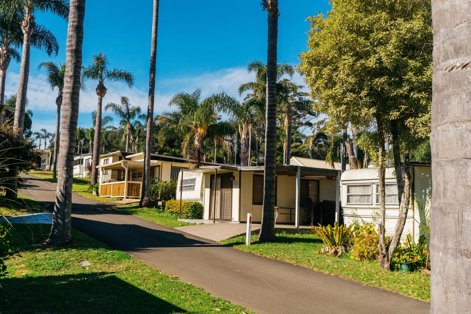 A Road Winds Through A Sunny Mobile Home Park Featuring Palm Trees — SeaChange Parks Milton in Milton, NSW