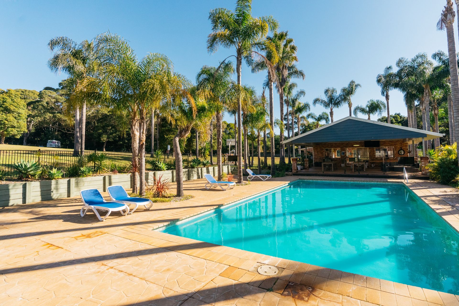 A Swimming Pool Sits Under a Bright Blue Sky Surrounded by Palm Trees — SeaChange Parks Milton in Milton, NSW