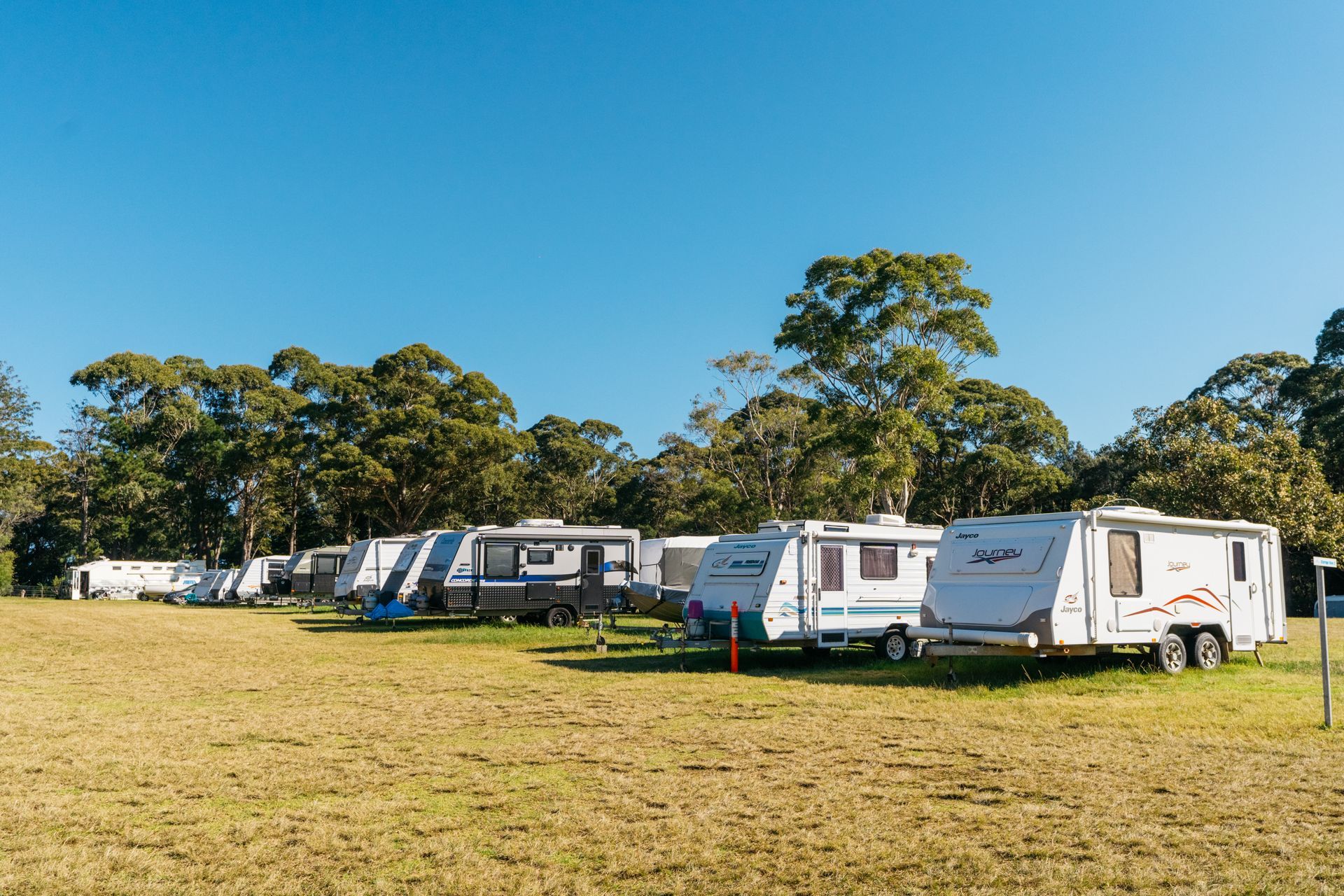 A Row of White Travel Trailers Parked on A Grassy Field in Front of A Line of Trees — SeaChange Parks Milton in Milton, NSW