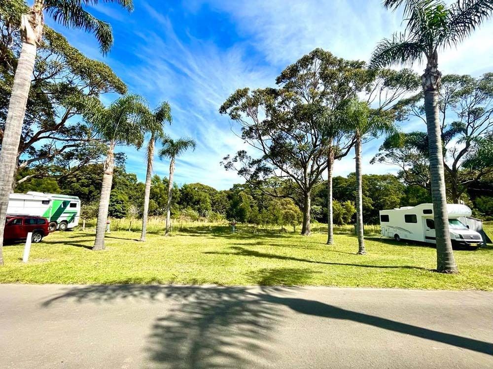 Camping ground with RVs and palm trees under a blue sky. — SeaChange Parks Milton in Milton, NSW