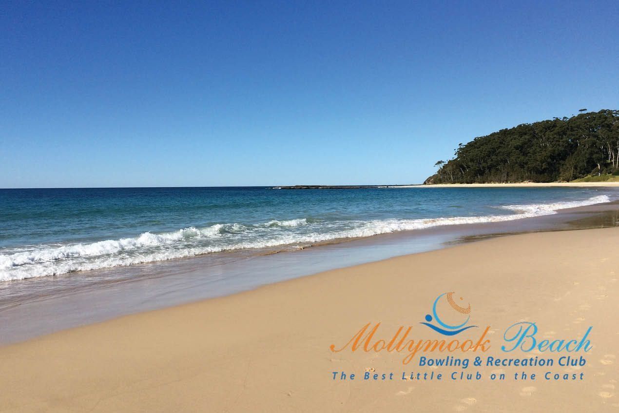 Sandy Beach, Blue Ocean, Clear Sky, With Headland — SeaChange Parks Milton in Milton, NSW