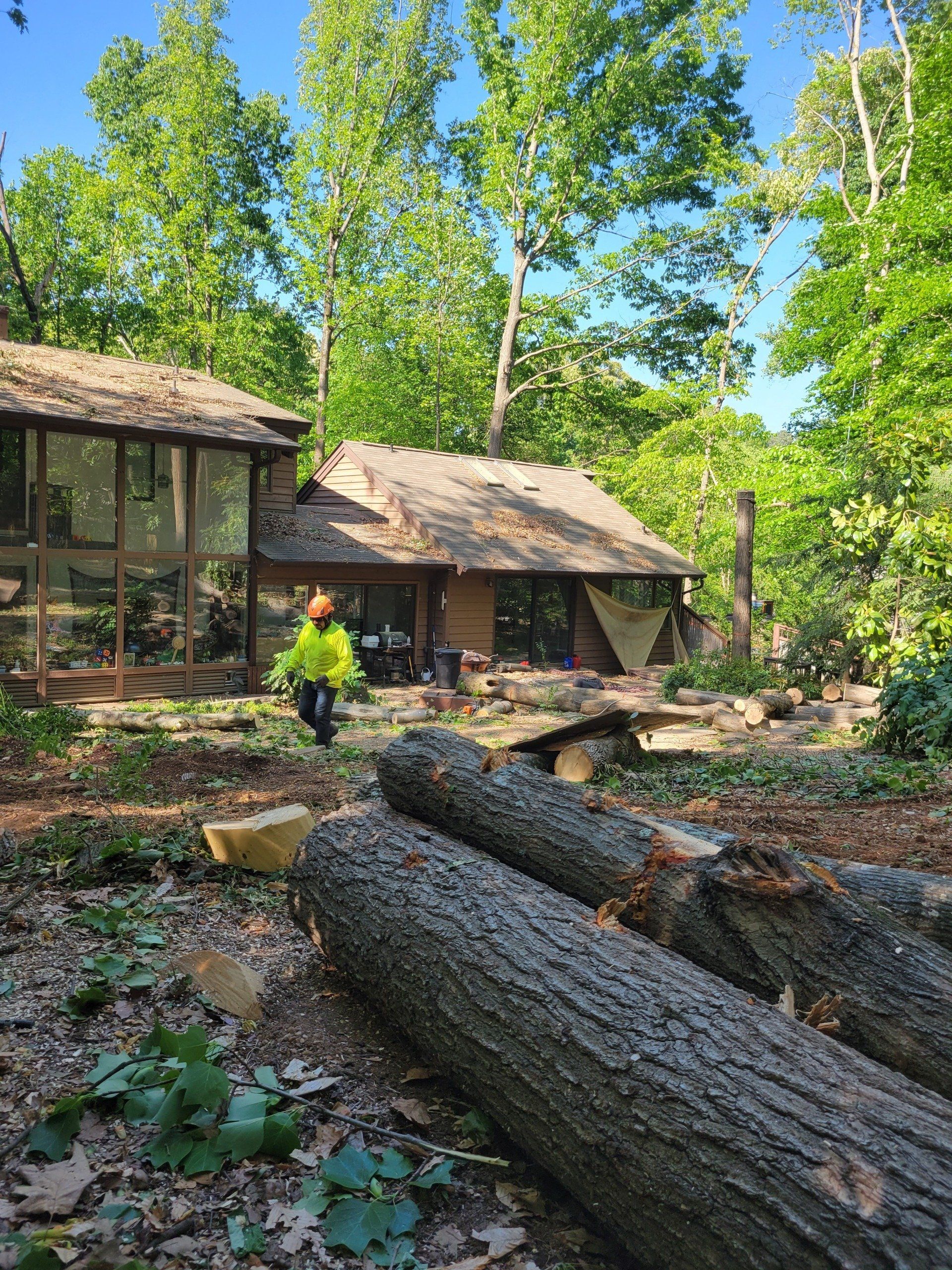 Tree Removal Project in Durham, NC