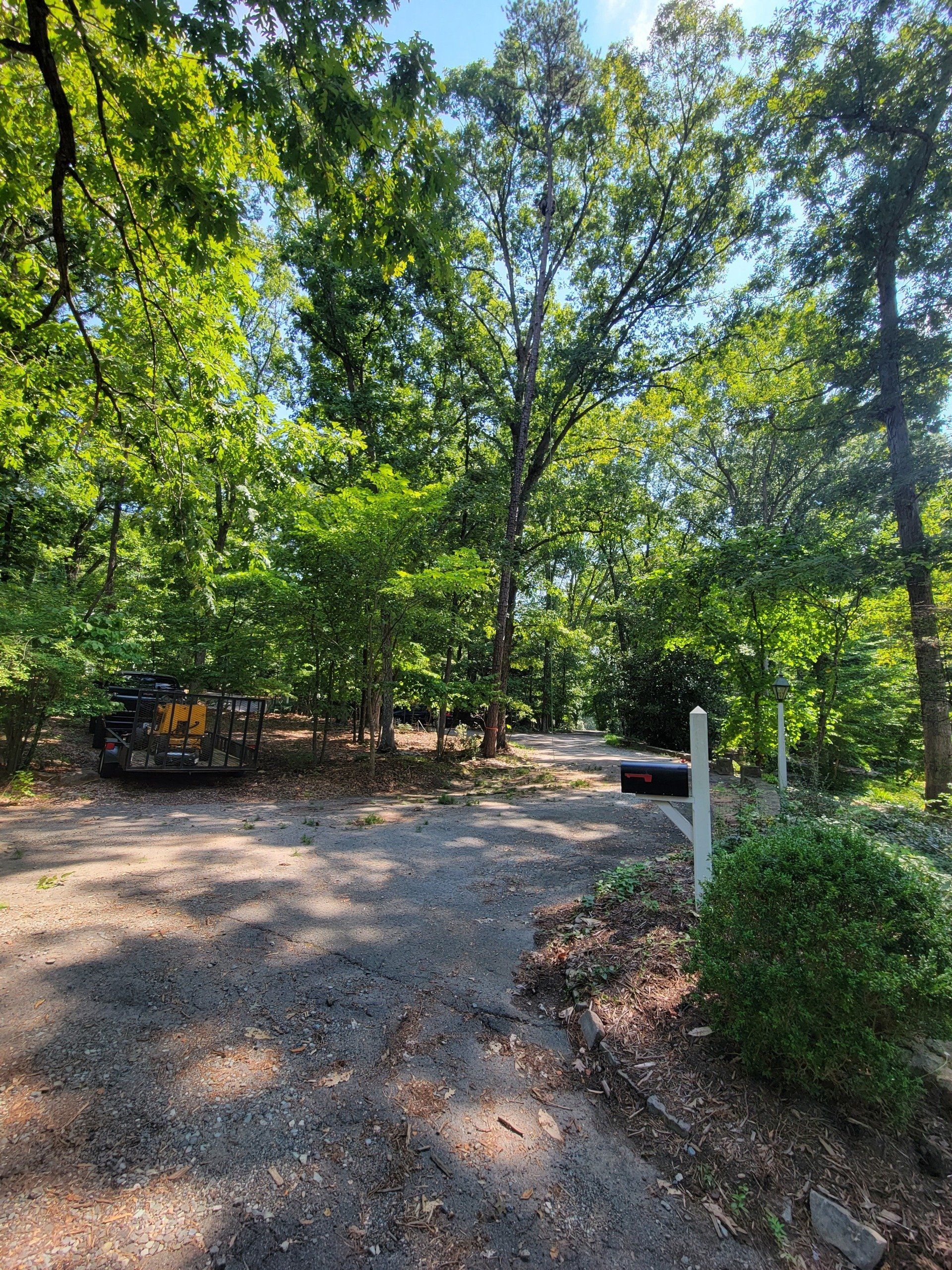 Local Landscape in Durham, NC