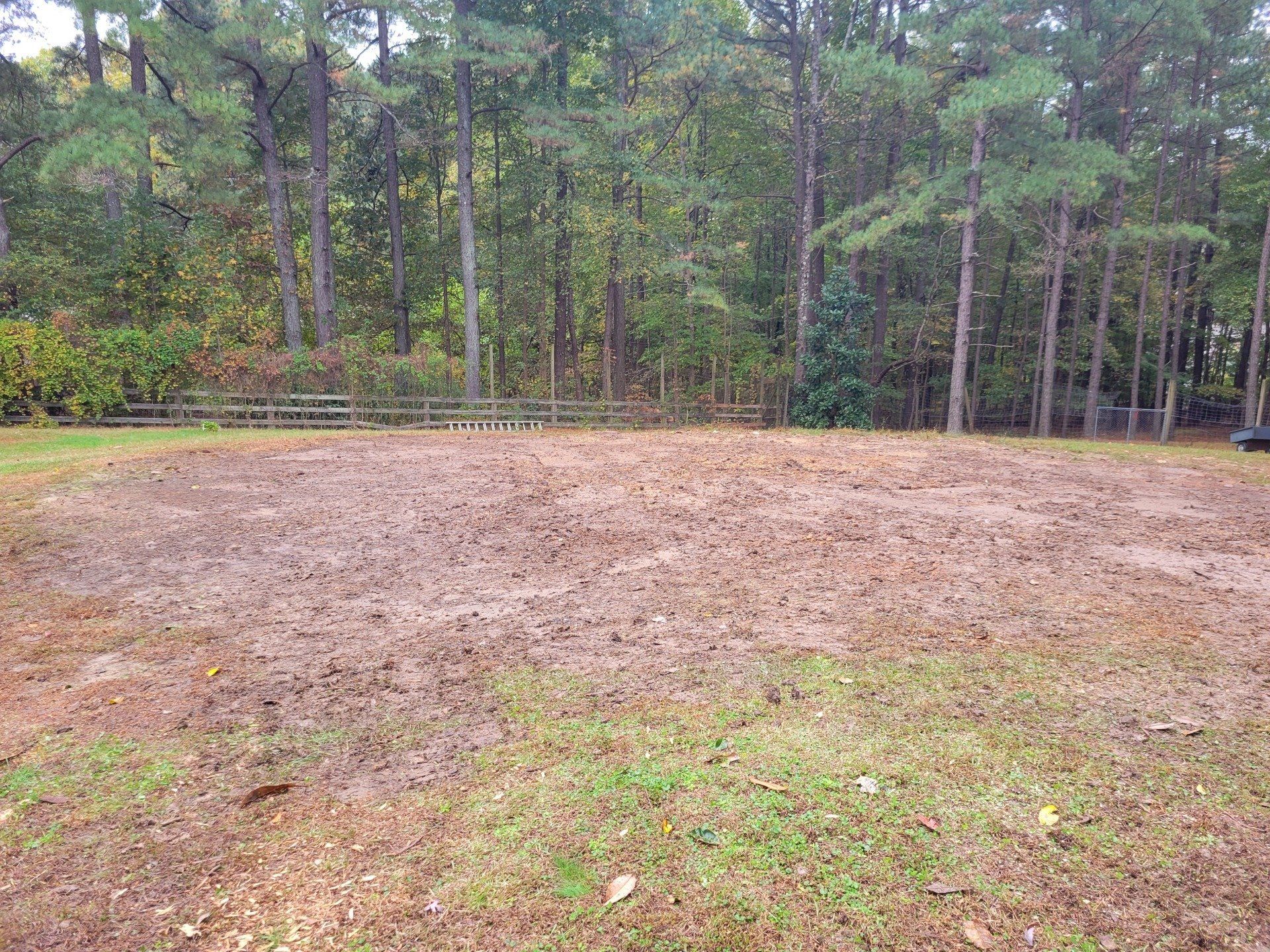 Local Property in Apex, NC