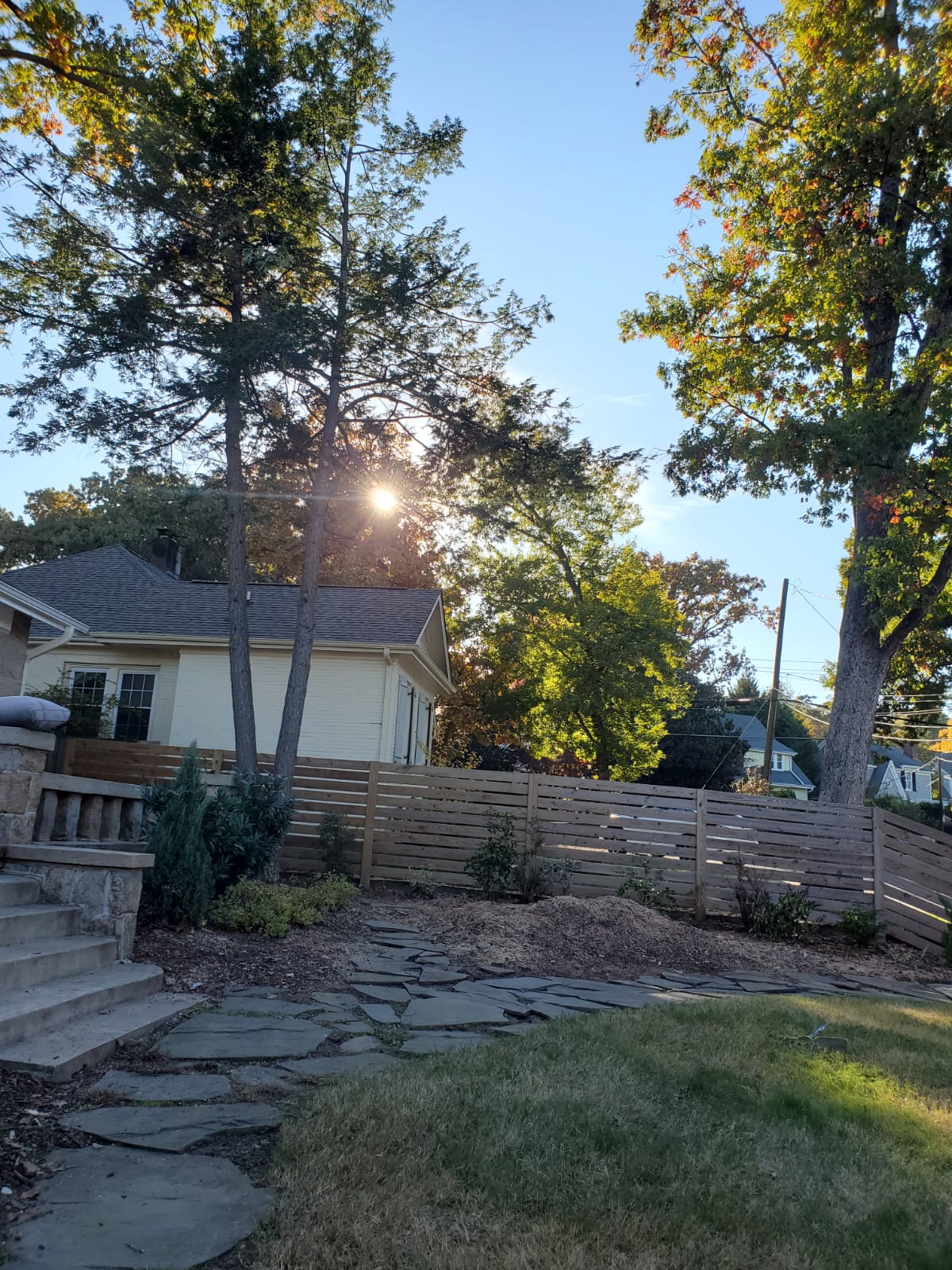 Large Tree Removal Project in Chapel Hill, NC