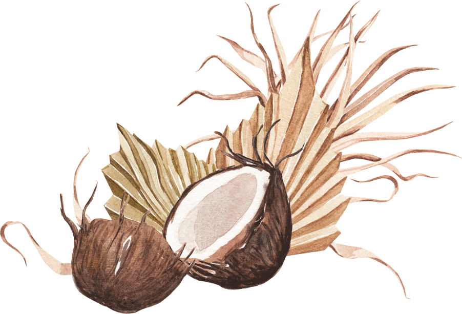 Una pintura de acuarela de dos cocos y hojas de palma.