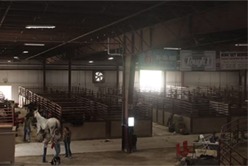 Inside a large barn: People tending to a white horse near pens. Bright light from the open doorway.