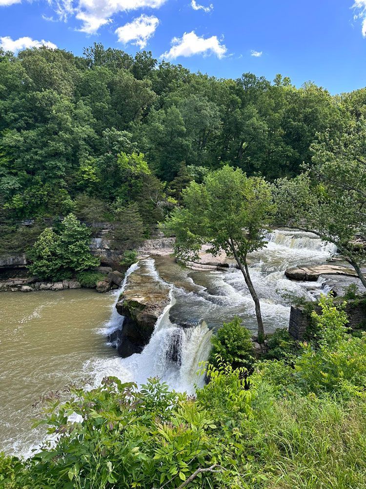 A waterfall cascades over a rocky ledge into a murky pool, surrounded by lush green forest under a blue sky.