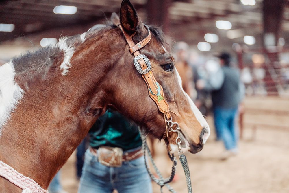 Cowgirl on a light-colored horse, wearing a red hat, looks at another person inside a rodeo arena with red fencing.