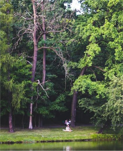 Green trees frame a pond, with a statue of a figure sitting in the center.