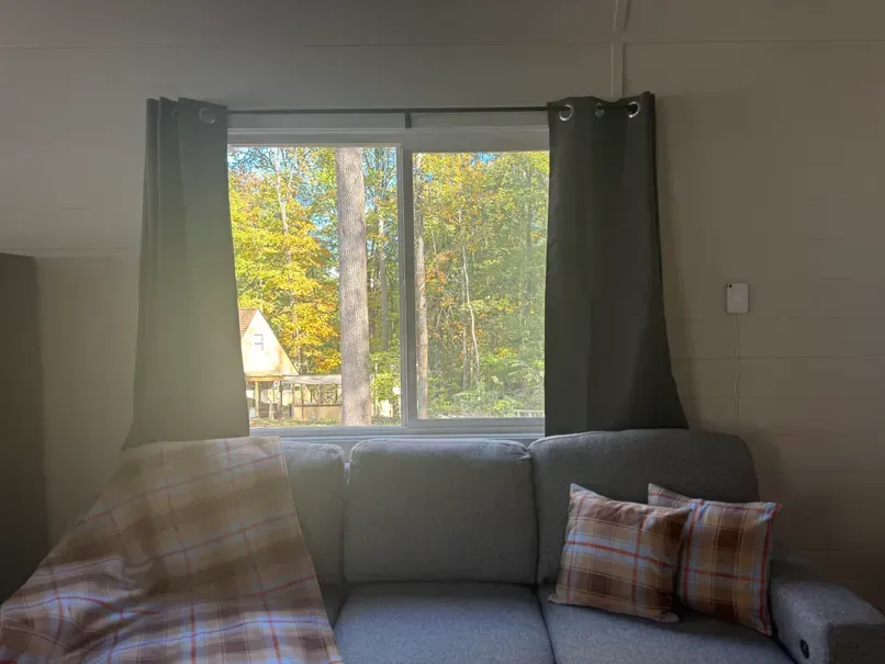 A grey couch with a plaid blanket and two patterned pillows sits before a window showing autumn trees outside.