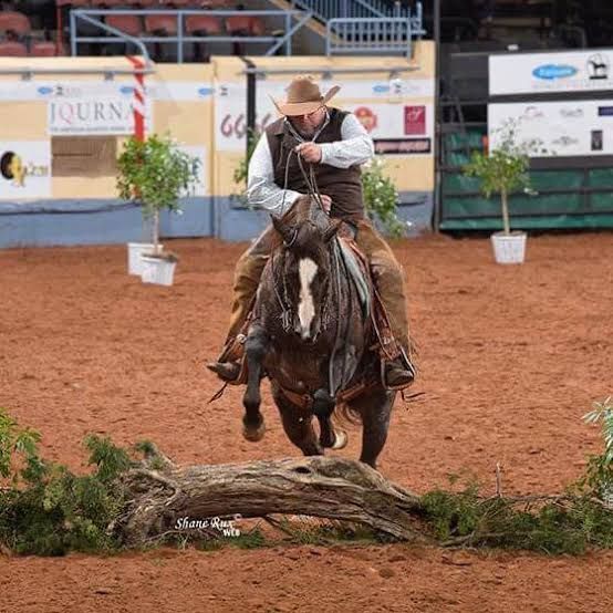 Cowboy on a horse jumping a log in an indoor rodeo arena